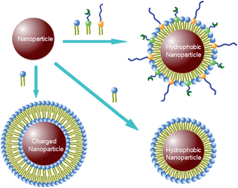 Graphical abstract: Strategies in biomimetic surface engineering of nanoparticles for biomedical applications