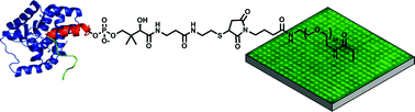 Graphical abstract: A methodology for preparing nanostructured biomolecular interfaces with high enzymatic activity