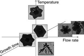 Graphical abstract: Controllable growth of shaped graphene domains by atmospheric pressure chemical vapour deposition