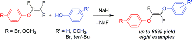 Graphical abstract: Synthesis of internal fluorinated alkenesvia facile aryloxylation of substituted phenols with aryl trifluorovinyl ethers