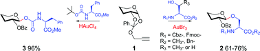 Graphical abstract: Facile synthesis of unusual glycosyl carbamates and amino acid glycosides from propargyl 1,2-orthoesters as glycosyl donors