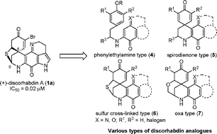 Graphical abstract: The synthetic and biological studies of discorhabdins and related compounds