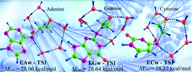 Graphical abstract: Mechanism of epoxide hydrolysis in microsolvated nucleotide bases adenine, guanine and cytosine: A DFT study