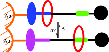 Graphical abstract: Photoswitchable rotaxanes on gold nanoparticles