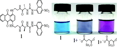 Graphical abstract: Synthesis of alanine-based colorimetric sensors and enantioselective recognition of aspartate and malate anions