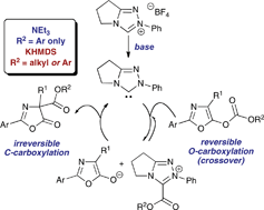 Graphical abstract: Organic base effects in NHC promoted O- to C-carboxyl transfer; chemoselectivity profiles, mechanistic studies and domino catalysis