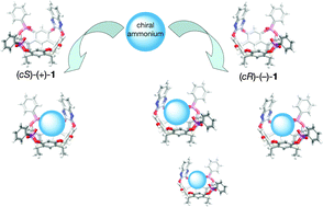 Graphical abstract: Inherently chiral phosphonatocavitands as artificial chemo- and enantio-selective receptors of natural ammoniums