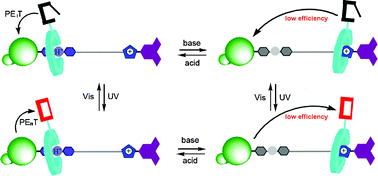 Graphical abstract: Altering intercomponent interactions in a photochromic multi-state [2]rotaxane