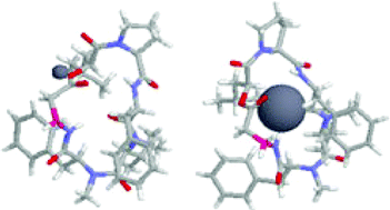 Graphical abstract: Effect of ester chemical structure and peptide bond conformation in fragmentation pathways of differently metal cationized cyclodepsipeptides