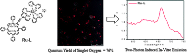 Graphical abstract: Two-photon induced luminescence, singlet oxygen generation, cellular uptake and photocytotoxic properties of amphiphilic Ru(ii) polypyridyl–porphyrin conjugates as potential bifunctional photodynamic therapeutic agents