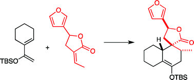 Graphical abstract: The clerodane ring system: investigating the viability of a direct Diels–Alder approach