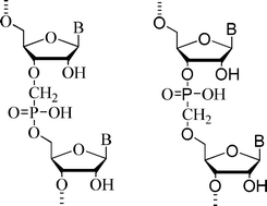 Graphical abstract: Synthesis of oligoribonucleotides with phosphonate-modified linkages