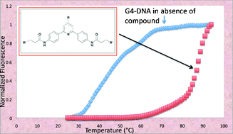 Graphical abstract: Unraveling the relationship between structure and stabilization of triarylpyridines as G-quadruplex binding ligands