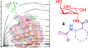 Graphical abstract: Second generation of fucose-based DC-SIGN ligands : affinity improvement and specificity versus Langerin