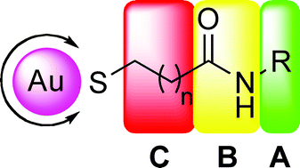 Graphical abstract: Multivalent interaction and selectivities in selectin binding of functionalized gold colloids decorated with carbohydrate mimetics