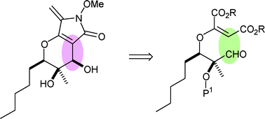 Graphical abstract: Synthesis of the proposed structure of phaeosphaeride A