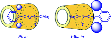 Graphical abstract: Kinetic control of the direction of inclusion of nitroxide radicals into cyclodextrins