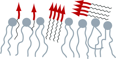 Graphical abstract: The interaction of lipid modified pseudopeptides with lipid membranes