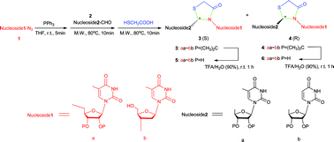 Graphical abstract: Microwave-assisted synthesis of dinucleoside analogues containing a thiazolidin-4-one linkage via one-pot tandem Staudinger/aza-Wittig/cyclization