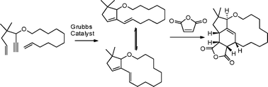 Graphical abstract: Synthesis of fused multicyclic compounds containing macrocycles by dienyne ring-closing metathesis and Diels–Alder reactions