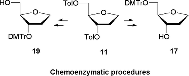 Graphical abstract: An expedient biocatalytic procedure for abasic site precursors useful in oligonucleotide synthesis