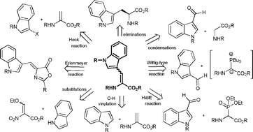 Graphical abstract: The synthesis of dehydrotryptophan and dehydrotryptophan-containing peptides