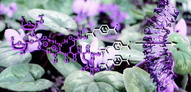 Graphical abstract: Synthetic polyion-counterion transport systems in polymersomes and gels