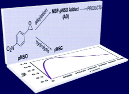 Graphical abstract: Reactivity of p-nitrostyrene oxide as an alkylating agent. A kinetic approach to biomimetic conditions