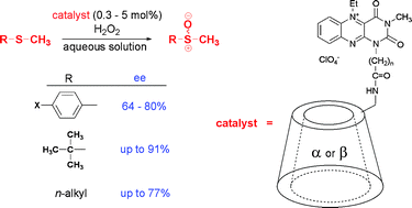 Graphical abstract: Alloxazine–cyclodextrin conjugates for organocatalytic enantioselective sulfoxidations