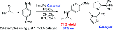 Graphical abstract: Scope of the organocatalysed asymmetric reductive amination of ketones with trichlorosilane