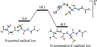 Graphical abstract: Glutathione radical cation in the gas phase; generation, structure and fragmentation