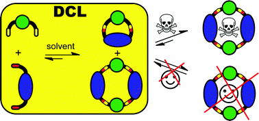 Graphical abstract: Dynamic combinatorial libraries for the recognition of heavy metal ions