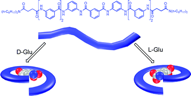 Graphical abstract: meta-Substituted benzamide oligomers that complex mono-, di- and tricarboxylates: folding-induced selectivity and chirality