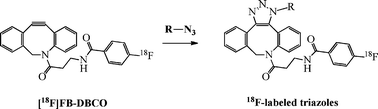 Graphical abstract: Copper-free click chemistry with the short-lived positron emitter fluorine-18