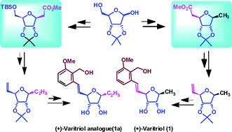 Graphical abstract: Diastereoselective one-pot Wittig olefination–Michael addition and olefin cross metathesis strategy for total synthesis of cytotoxic natural product (+)-varitriol and its higher analogues