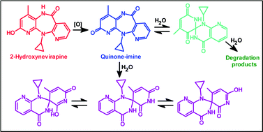 Graphical abstract: Synthesis and oxidation of 2-hydroxynevirapine, a metabolite of the HIV reverse transcriptase inhibitor nevirapine