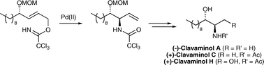 Graphical abstract: Total synthesis of clavaminol A, C and H