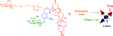 Graphical abstract: A new cyclopamine glucuronide prodrug with improved kinetics of drug release