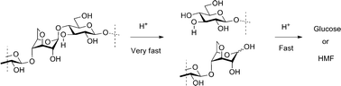 Graphical abstract: A study of anhydrocelluloses – Is a cellulose structure with residues in a 1C4-conformation more prone to hydrolysis?