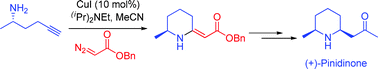 Graphical abstract: Cu(i)-catalyzed tandem benzyldiazoester coupling with terminal alkyne–allene formation–Michael reaction: Application to the syntheses of oxa and azacycles