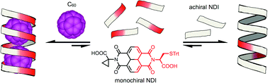 Graphical abstract: Supramolecular chemistry of monochiral naphthalenediimides