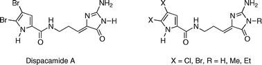 Graphical abstract: An efficient approach to dispacamide A and its derivatives