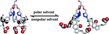 Graphical abstract: Construction of a tunable metallohydrolase center on an invertible molecular pocket