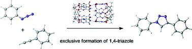 Graphical abstract: On the enhanced reactivity and selectivity of triazole formation in molecular flasks. A theoretical rationale