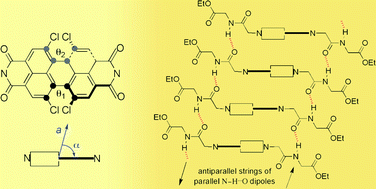 Graphical abstract: Amino acid derivatives of perylenediimide and their N–H⋯O peptide bond dipoles-templated solid state assembly into stacks