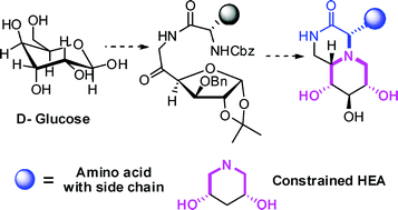 Graphical abstract: Bicyclic amino acid-carbohydrate-conjugates as conformationally restricted hydroxyethylamine (HEA) transition-state isosteres