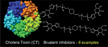 Graphical abstract: Synthesis of 1,2,3-triazole linked galactopyranosides and evaluation of cholera toxin inhibition