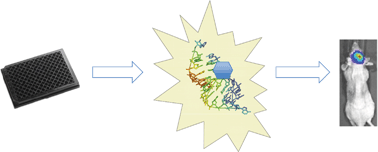 Graphical abstract: Development and utilization of non-coding RNA–small molecule interactions