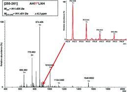 Graphical abstract: Tyrosine nitration affects thymidylate synthase properties