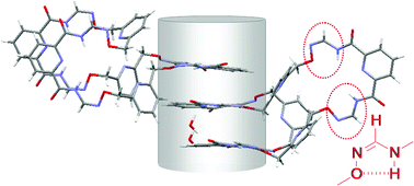 Graphical abstract: Z-Formamidoximes in molecular folding and macrocycles